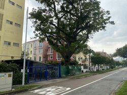 Cheong Chin Nam Road (D21), Semi-Detached #458061411